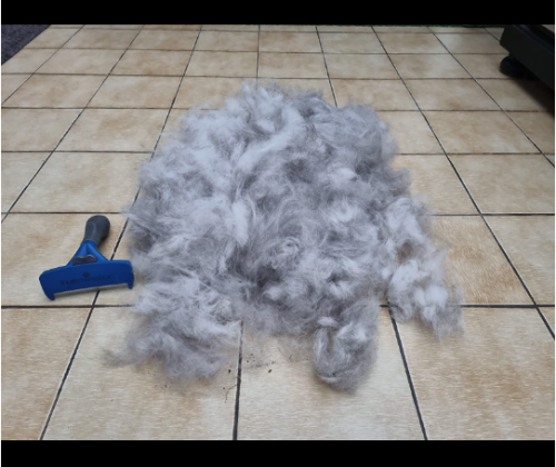 Furminator Chien L Grande Taille Brosse Poils Longs photo review